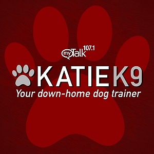 Katie K9 on MyTalk